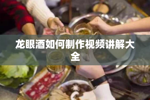 龙眼酒如何制作视频讲解大全