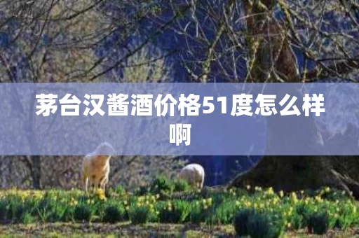 茅台汉酱酒价格51度怎么样啊