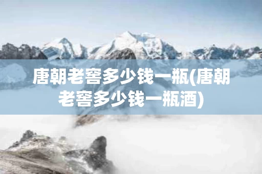 唐朝老窖多少钱一瓶(唐朝老窖多少钱一瓶酒)