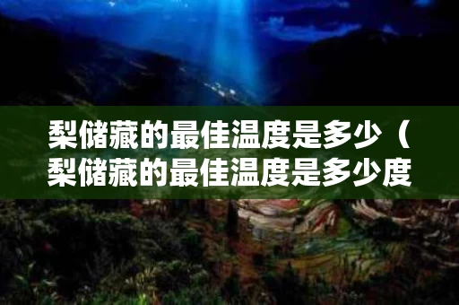 梨储藏的最佳温度是多少（梨储藏的最佳温度是多少度）
