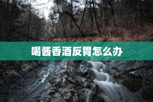 喝酱香酒反胃怎么办 喝酱香酒反胃怎么办