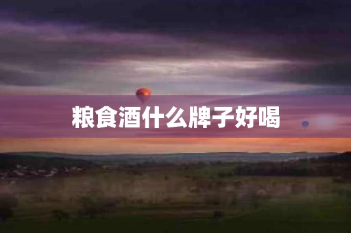 粮食酒什么牌子好喝