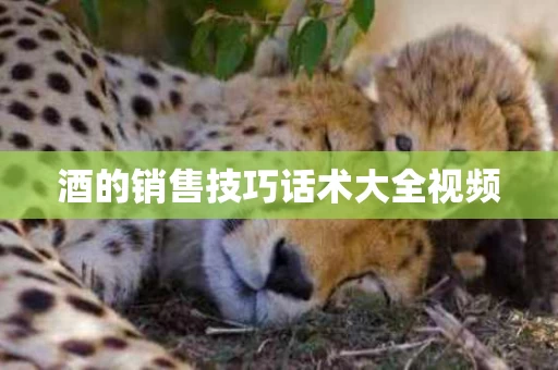 酒的销售技巧话术大全视频