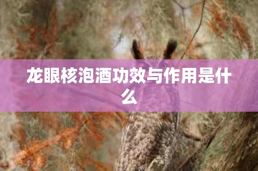 龙眼核泡酒功效与作用是什么