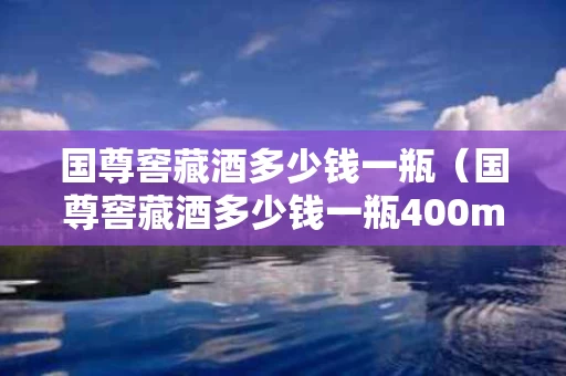 国尊窖藏酒多少钱一瓶（国尊窖藏酒多少钱一瓶400mm）