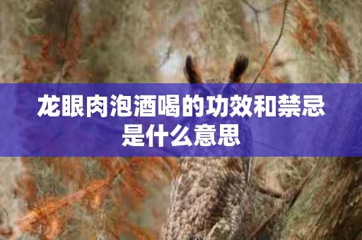 龙眼肉泡酒喝的功效和禁忌是什么意思