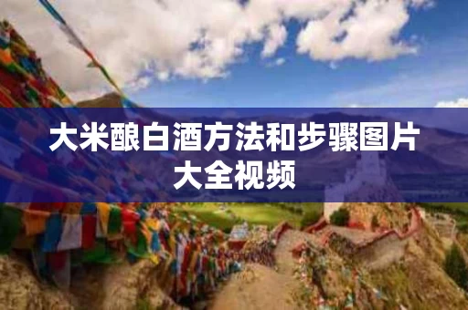 大米酿白酒方法和步骤图片大全视频