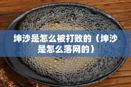 坤沙是怎么被打败的（坤沙是怎么落网的）