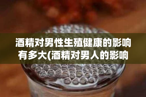 酒精对男性生殖健康的影响有多大(酒精对男人的影响)