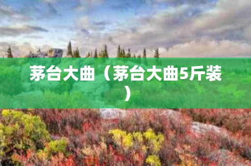 茅台大曲（茅台大曲5斤装）