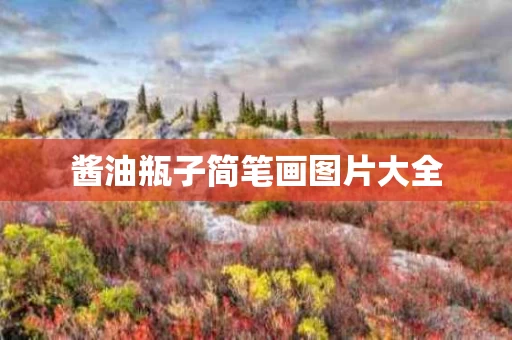 酱油瓶子简笔画图片大全