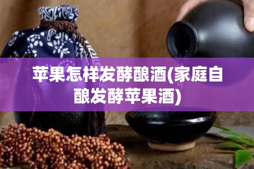苹果怎样发酵酿酒(家庭自酿发酵苹果酒)