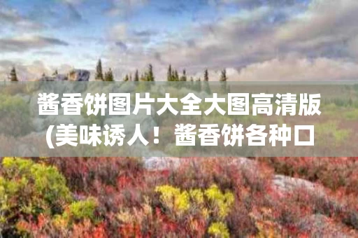 酱香饼图片大全大图高清版(美味诱人！酱香饼各种口味图片一览大图分享)
