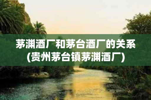 茅渊酒厂和茅台酒厂的关系(贵州茅台镇茅渊酒厂)