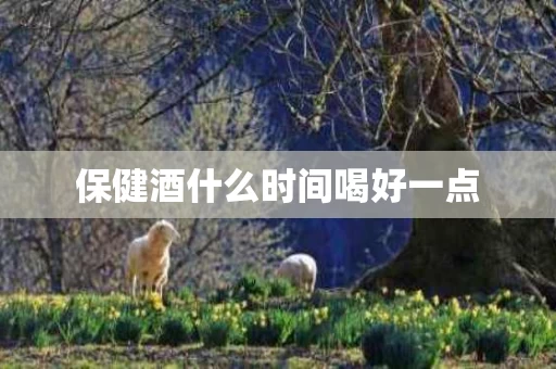 保健酒什么时间喝好一点