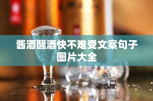 酱酒醒酒快不难受文案句子图片大全