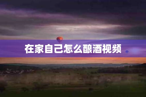 在家自己怎么酿酒视频