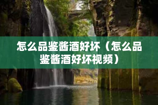 怎么品鉴酱酒好坏(怎么品鉴酱酒好坏视频) 怎么品鉴酱酒好坏(怎么品鉴酱酒好坏视频)