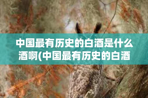中国最有历史的白酒是什么酒啊(中国最有历史的白酒是什么酒啊视频)