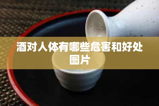 酒对人体有哪些危害和好处图片