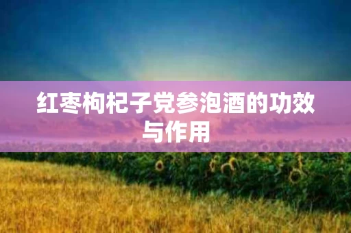 红枣枸杞子党参泡酒的功效与作用