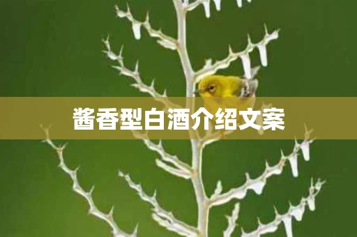 酱香型白酒介绍文案
