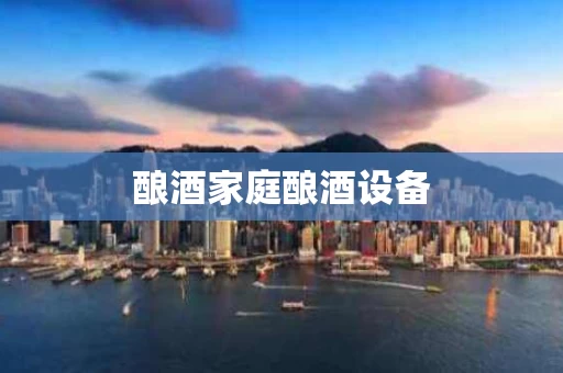 酿酒家庭酿酒设备