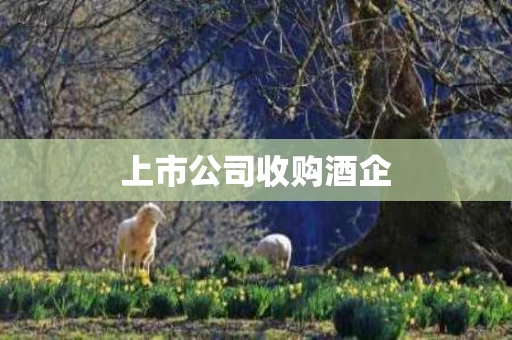 上市公司收购酒企