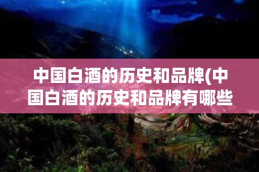 中国白酒的历史和品牌(中国白酒的历史和品牌有哪些)
