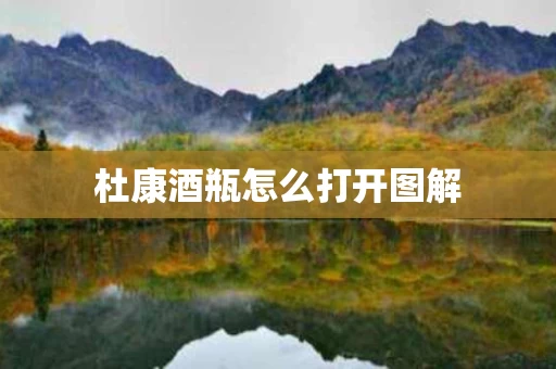 杜康酒瓶怎么打开图解