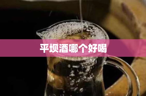 平坝酒哪个好喝