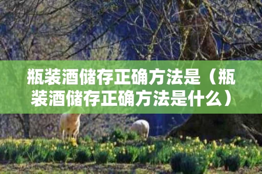 瓶装酒储存正确方法是（瓶装酒储存正确方法是什么）