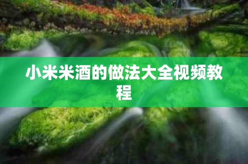小米米酒的做法大全视频教程