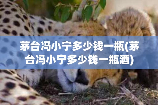 茅台冯小宁多少钱一瓶(茅台冯小宁多少钱一瓶酒)