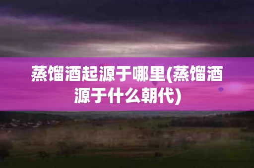 蒸馏酒起源于哪里(蒸馏酒源于什么朝代)