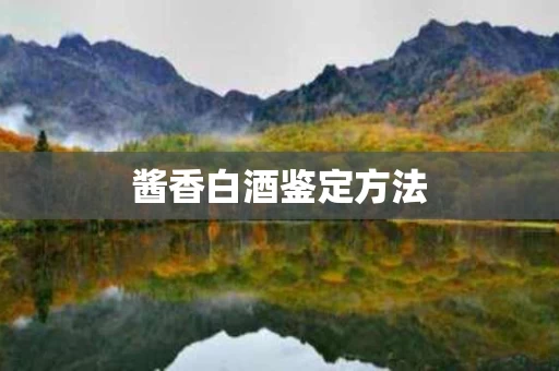 酱香白酒鉴定方法