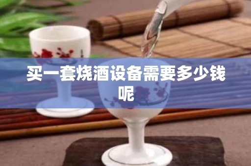 买一套烧酒设备需要多少钱呢