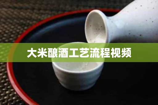 大米酿酒工艺流程视频
