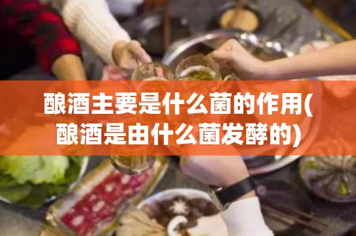 酿酒主要是什么菌的作用(酿酒是由什么菌发酵的)
