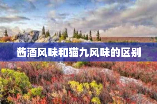 酱酒风味和猫九风味的区别