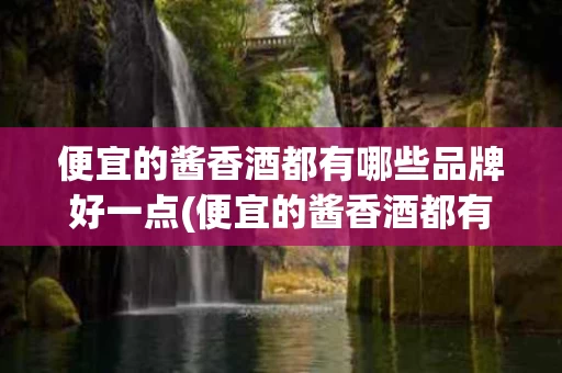 便宜的酱香酒都有哪些品牌好一点(便宜的酱香酒都有哪些品牌好一点呢)