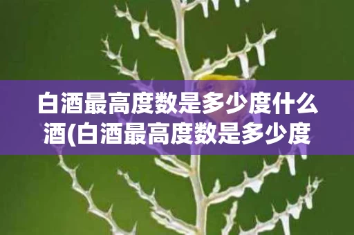 白酒最高度数是多少度什么酒(白酒最高度数是多少度?哪个品牌?)