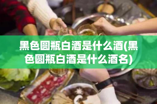 黑色圆瓶白酒是什么酒(黑色圆瓶白酒是什么酒名)