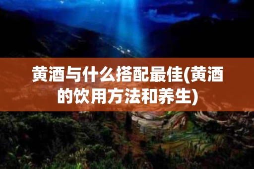 黄酒与什么搭配最佳(黄酒的饮用方法和养生)