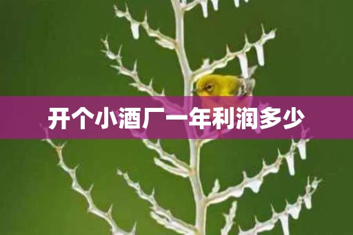 开个小酒厂一年利润多少