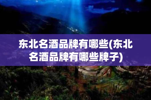 东北名酒品牌有哪些(东北名酒品牌有哪些牌子)
