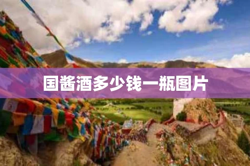 国酱酒多少钱一瓶图片