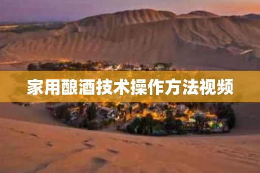 家用酿酒技术操作方法视频