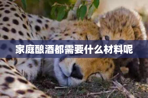 家庭酿酒都需要什么材料呢