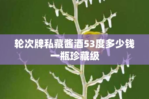轮次牌私藏酱酒53度多少钱一瓶珍藏级